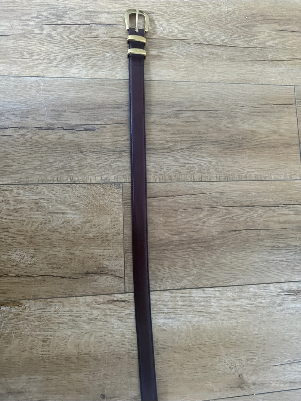 Aritzia Brown Leather Accent Belt with Gold Buckle